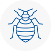 Bed Bug Extermination In Cadishead